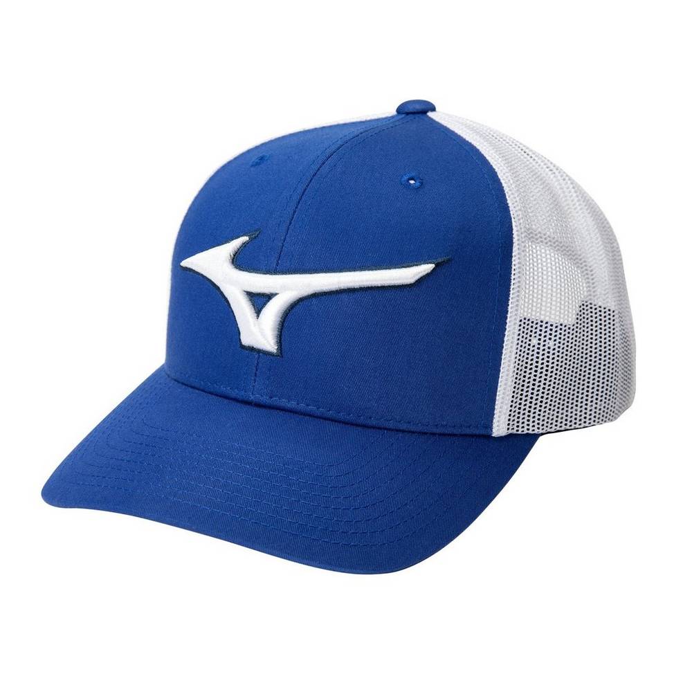 Mens Mizuno Diamond Trucker Baseball Hat Royal/White Philippines (WVSCRN391)